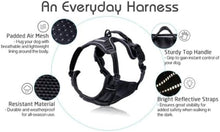 Load image into Gallery viewer, rabbitgoo Dog Harness, No-Pull Pet Harness with 2 Leash Clips, Adjustable Soft Padded Dog Vest, Reflective No-Choke Pet Oxford Vest with Easy Control Handle for Large Dogs, Black, L