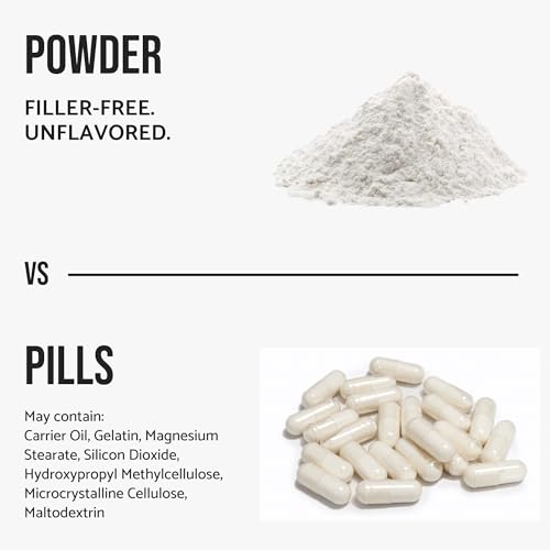 WHYZ Beta Alanine Powder Pure Beta Alanine Pre-Workout Supplement for Sustained Energy…