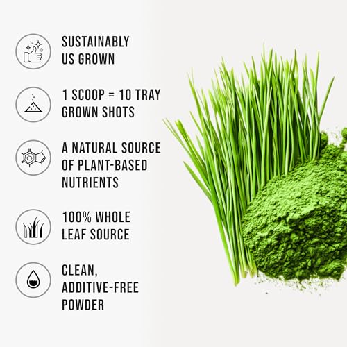 Wheatgrass Powder 100% Pure Whole-Leaf Wheatgrass Powder, Nutrient-Rich Green Wheat Grass…