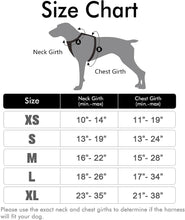 Load image into Gallery viewer, rabbitgoo Dog Harness, No-Pull Pet Harness with 2 Leash Clips, Adjustable Soft Padded Dog Vest, Reflective No-Choke Pet Oxford Vest with Easy Control Handle for Large Dogs, Black, L
