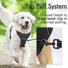 Load image into Gallery viewer, rabbitgoo Dog Harness, No-Pull Pet Harness with 2 Leash Clips, Adjustable Soft Padded Dog Vest, Reflective No-Choke Pet Oxford Vest with Easy Control Handle for Large Dogs, Black, L