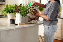 Load image into Gallery viewer, Miracle-Gro Indoor Potting Mix - Blended for a Wide Variety of Container Plants, 16 qt. (2-Pack)