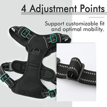 Load image into Gallery viewer, rabbitgoo Dog Harness, No-Pull Pet Harness with 2 Leash Clips, Adjustable Soft Padded Dog Vest, Reflective No-Choke Pet Oxford Vest with Easy Control Handle for Large Dogs, Black, L