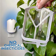 Load image into Gallery viewer, ZEVO Indoor Flying Insect Trap for Fruit Flies, Gnats, and House Flies (1 Plug-in Base + 3 Refill Cartridge)