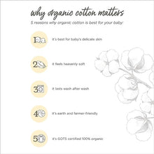 Load image into Gallery viewer, Burt&#39;s Bees Baby Baby Boys&#39; Pajamas, Tee and Pant 2-Piece Pj Set, 100% Organic Cotton