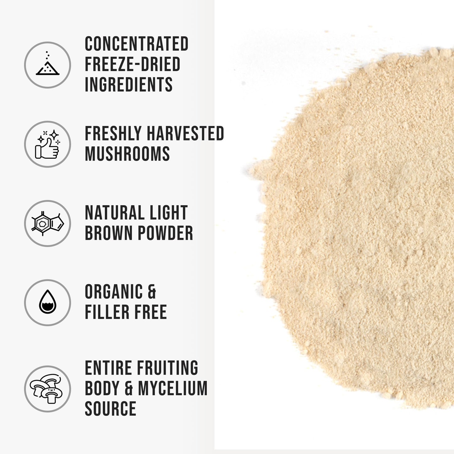 Organic Lion’s Mane Mushroom Powder Fruiting Body Superfood Freeze-Dried Unflavored…