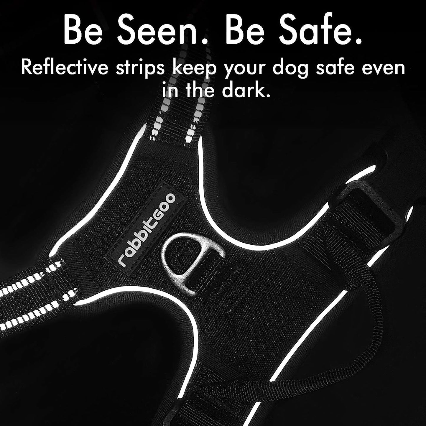rabbitgoo Dog Harness, No-Pull Pet Harness with 2 Leash Clips, Adjustable Soft Padded Dog Vest, Reflective No-Choke Pet Oxford Vest with Easy Control Handle for Large Dogs, Black, L