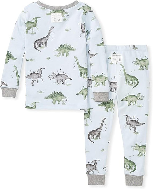Burt's Bees Baby Baby Boys' Pajamas, Tee and Pant 2-Piece Pj Set, 100% Organic Cotton