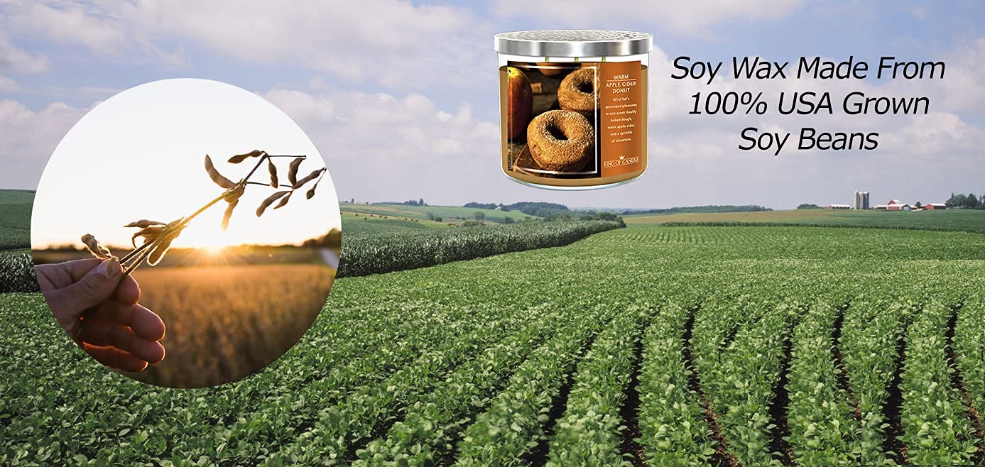 Warm Apple Cider Donut + Cinnamon Sugar | Strong, Large 3 Wick Candle for Winter | Clean Burning, Long Lasting, Highly Scented, Non Toxic Soy Wax | Unique Food Candles for Kitchen Decor | Big 14oz Jar