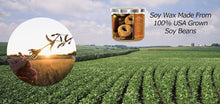 Load image into Gallery viewer, Warm Apple Cider Donut + Cinnamon Sugar | Strong, Large 3 Wick Candle for Winter | Clean Burning, Long Lasting, Highly Scented, Non Toxic Soy Wax | Unique Food Candles for Kitchen Decor | Big 14oz Jar