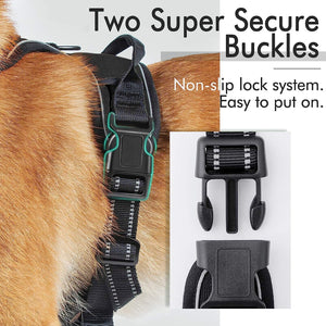 rabbitgoo Dog Harness, No-Pull Pet Harness with 2 Leash Clips, Adjustable Soft Padded Dog Vest, Reflective No-Choke Pet Oxford Vest with Easy Control Handle for Large Dogs, Black, L