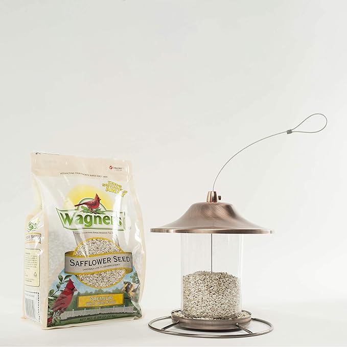 Wagner's 57075 Safflower Seed Wild Bird Food, 5-Pound Bag