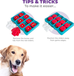 Outward Hound Nina Ottosson Dog Brick Interactive Treat Puzzle Dog Toy, Intermediate