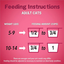 Load image into Gallery viewer, Purina Friskies Dry Cat Food, Gravy Swirlers - 3.15 lb. Bag