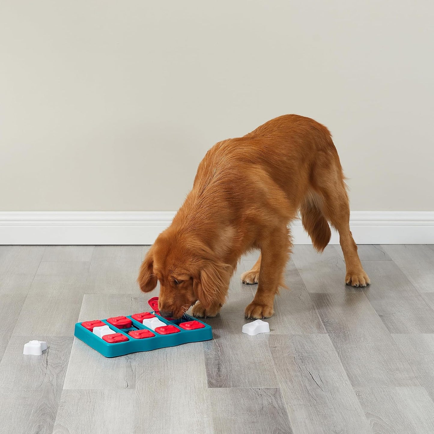Outward Hound Nina Ottosson Dog Brick Interactive Treat Puzzle Dog Toy, Intermediate